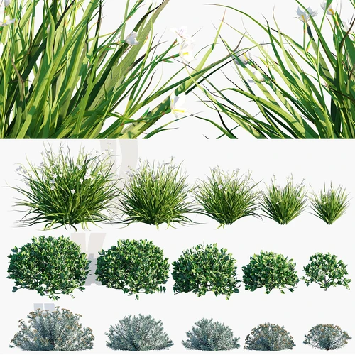 玉树花草类植物