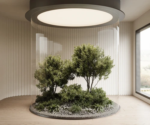 现代植物堆