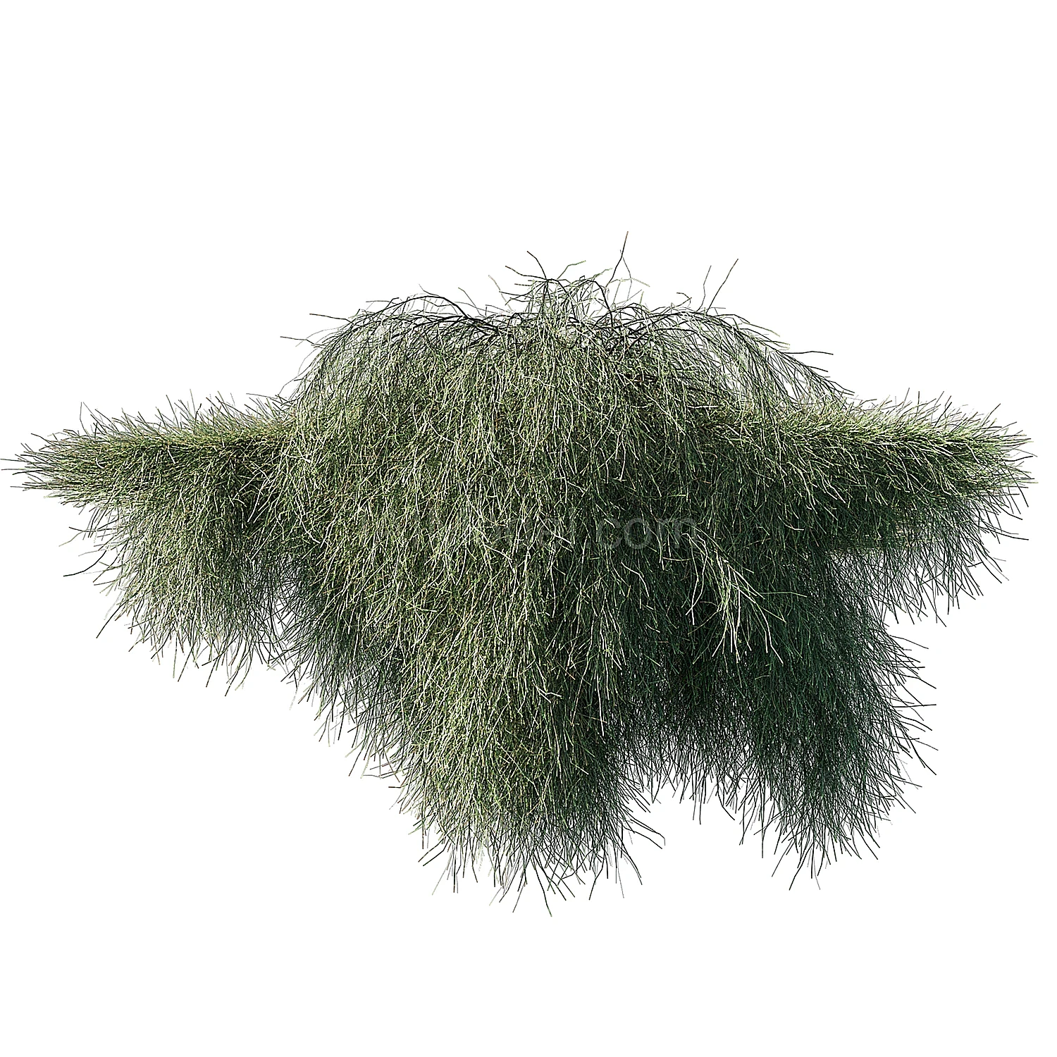 img2