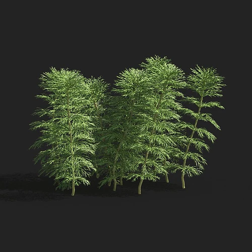 现代水下植物龙须草