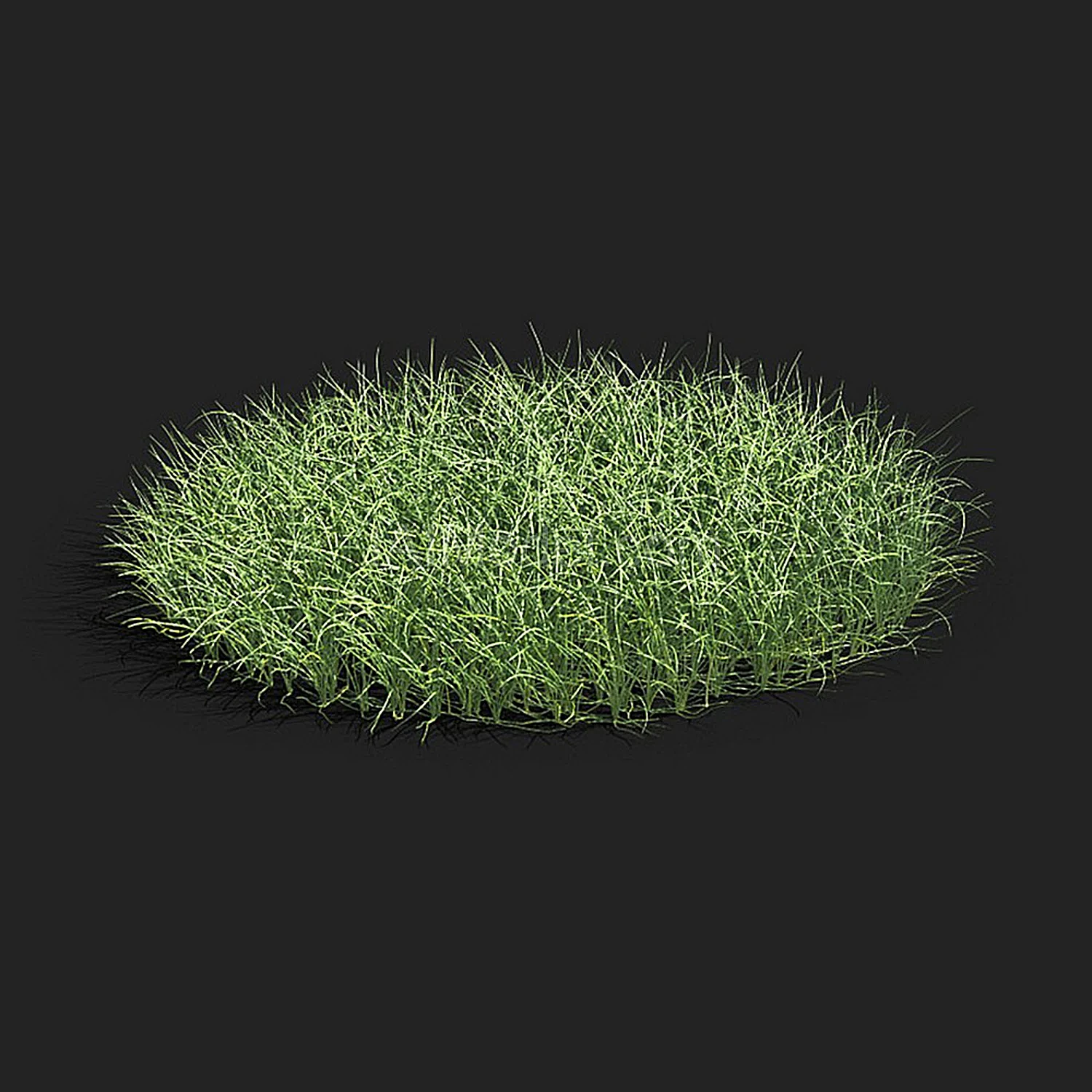 img1