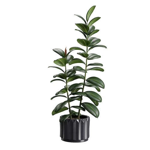 现代绿植盆栽组合