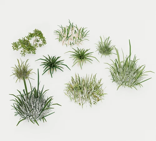 现代绿植景观草