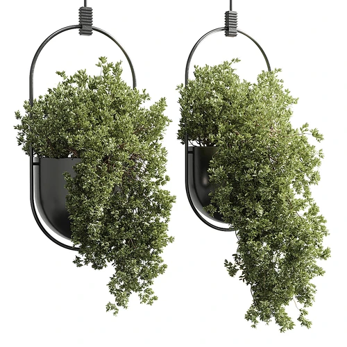 现代绿植盆栽吊篮
