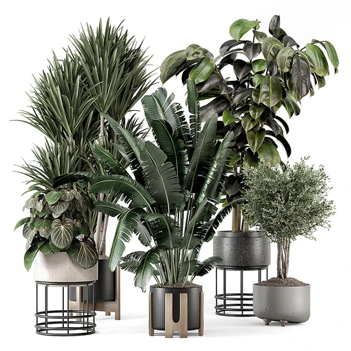 Ferm Living Bau 植物盆栽