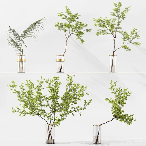 现代水生植物绿植摆件组合