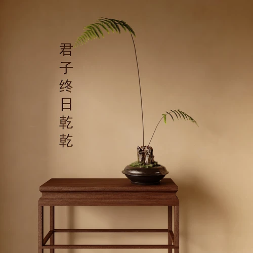 现代植物摆件
