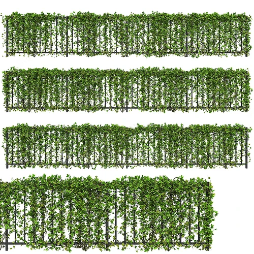 现代植物藤蔓