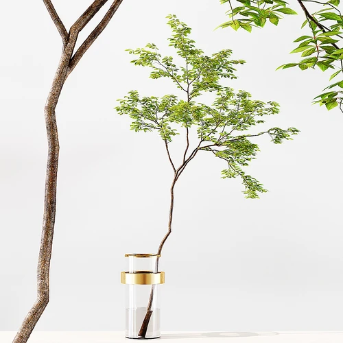 现代水生植物摆件陈设