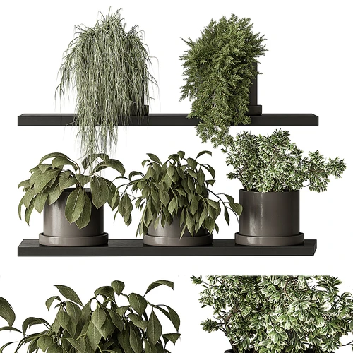 Small Plant pot 植物盆栽