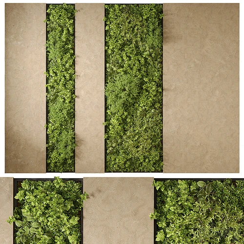 现代植物墙
