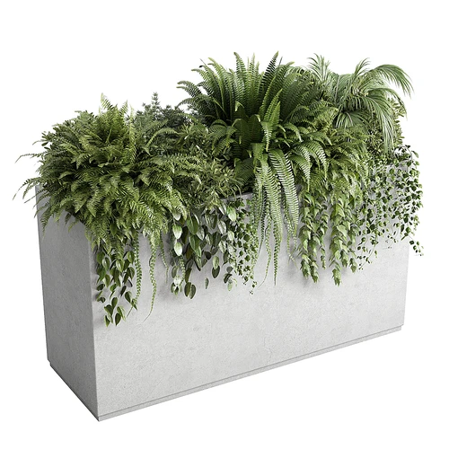 现代花圃盆栽
