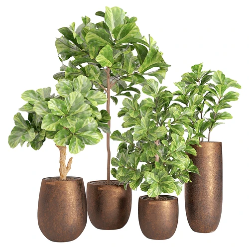 现代绿植盆栽