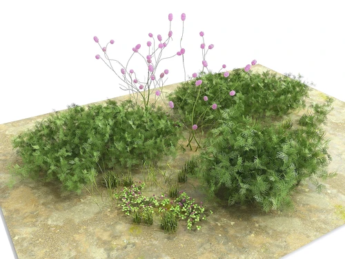 现代风格室外花草