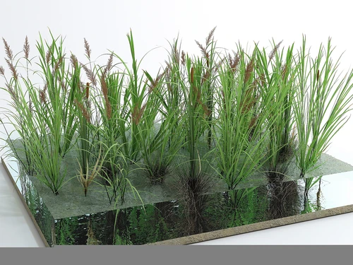 现代风格室外植物