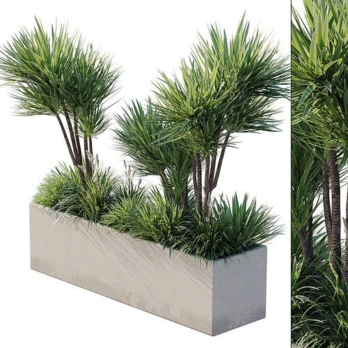 现代户外植物槽