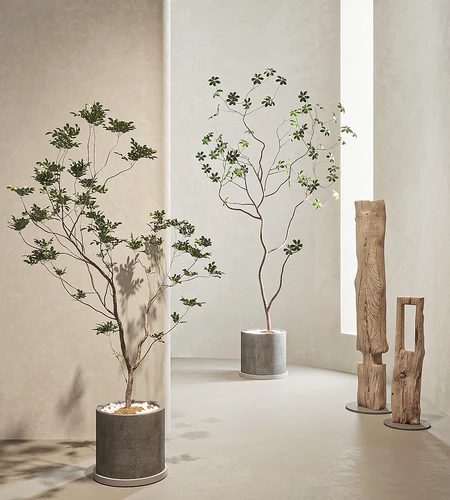 现代绿植盆栽
