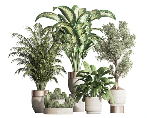 现代植物盆栽盆景组合