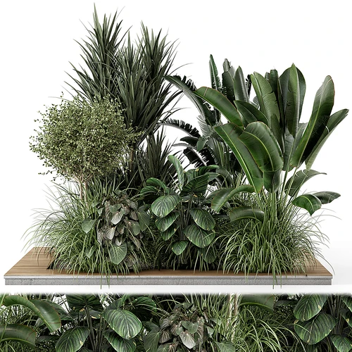现代植物花圃