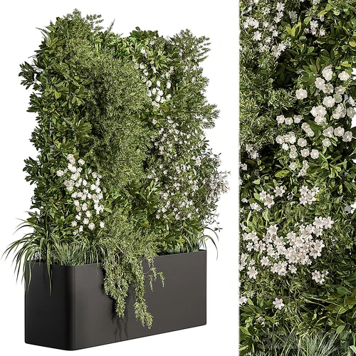现代植物墙