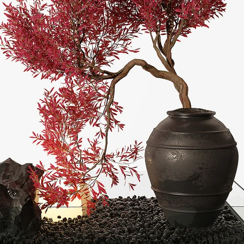 indoor Plant 253盆景