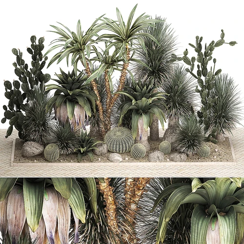 现代植物堆