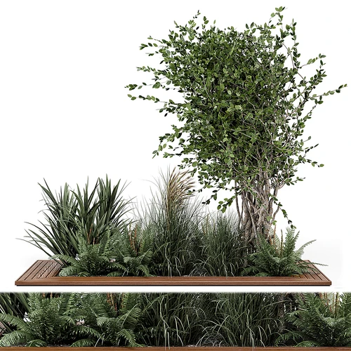 现代植物堆