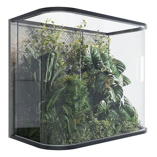 室内绿植景观