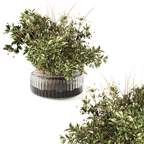 现代绿植盆栽