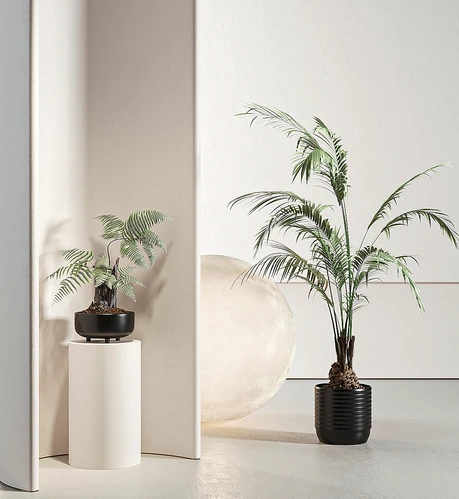 现代绿植盆栽