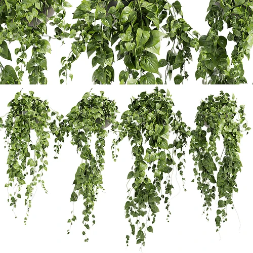 现代植物盆栽