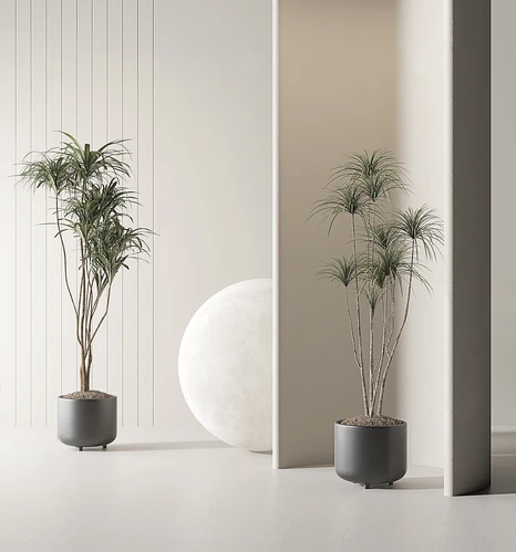 现代绿植盆栽