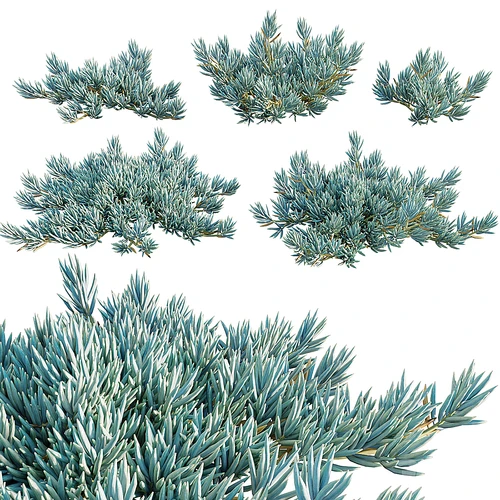 现代植物堆