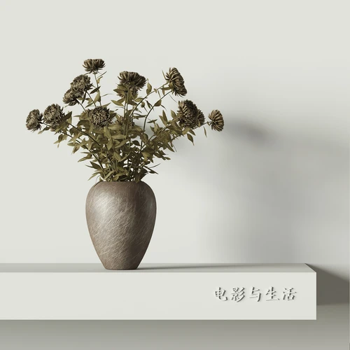 侘寂风植物摆件