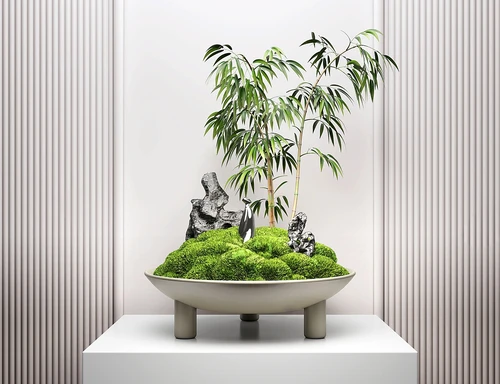 现代苔藓盆栽