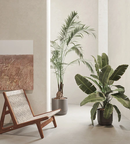 现代绿植盆栽