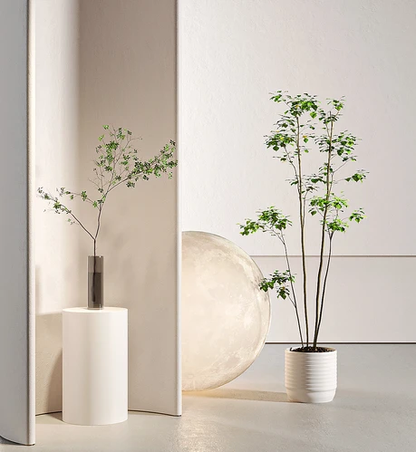 现代绿植盆栽