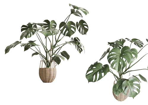现代绿植盆栽3D模型