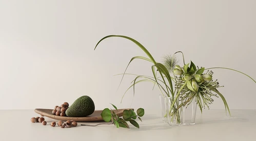 水生植物