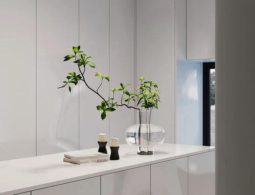 现代水培植物