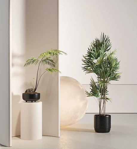 现代绿植盆栽