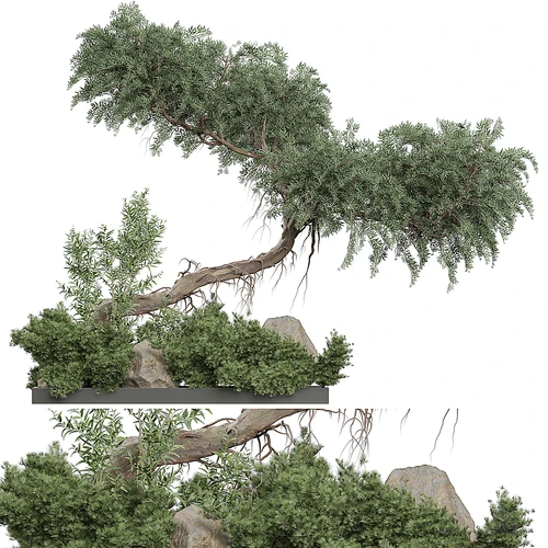 现代植物堆 景观树