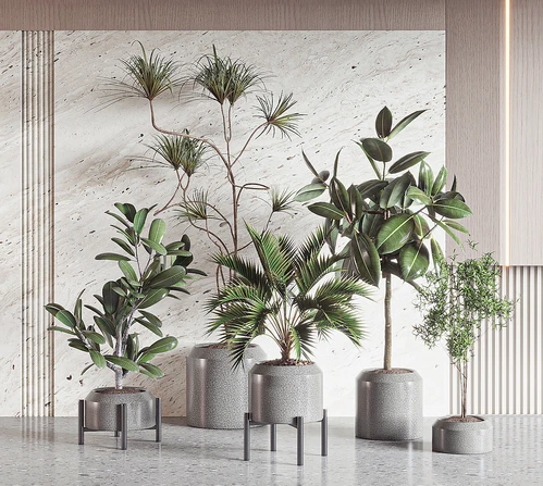 现代绿植盆栽