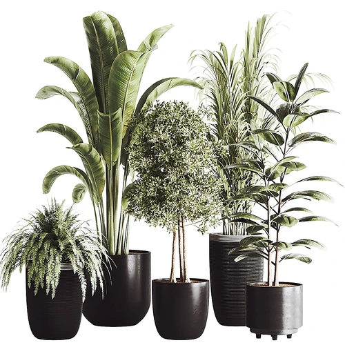 现代绿植盆栽3D模型