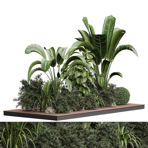 室外植物景观