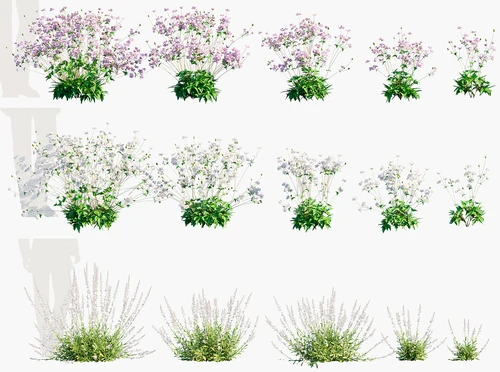 现代花草植物