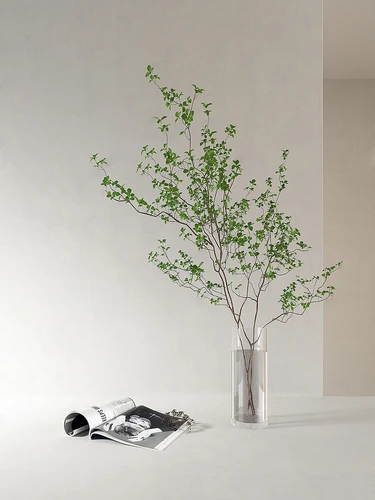 水生植物