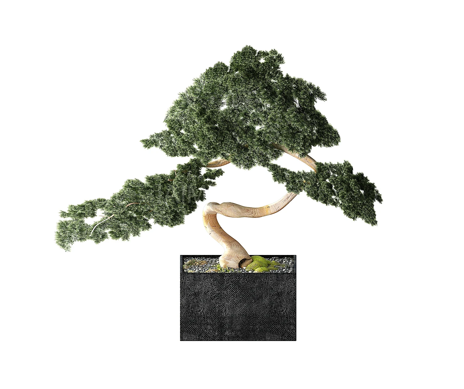 img2