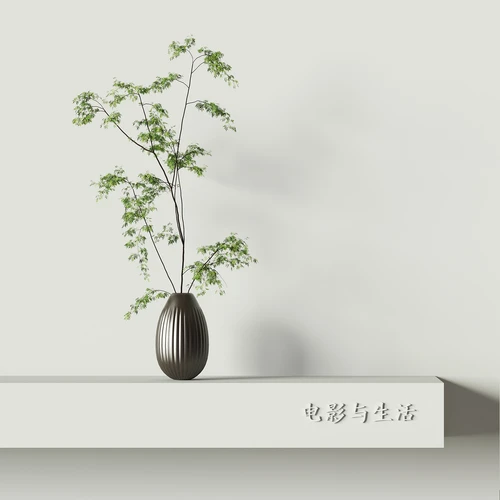 现代植物摆件