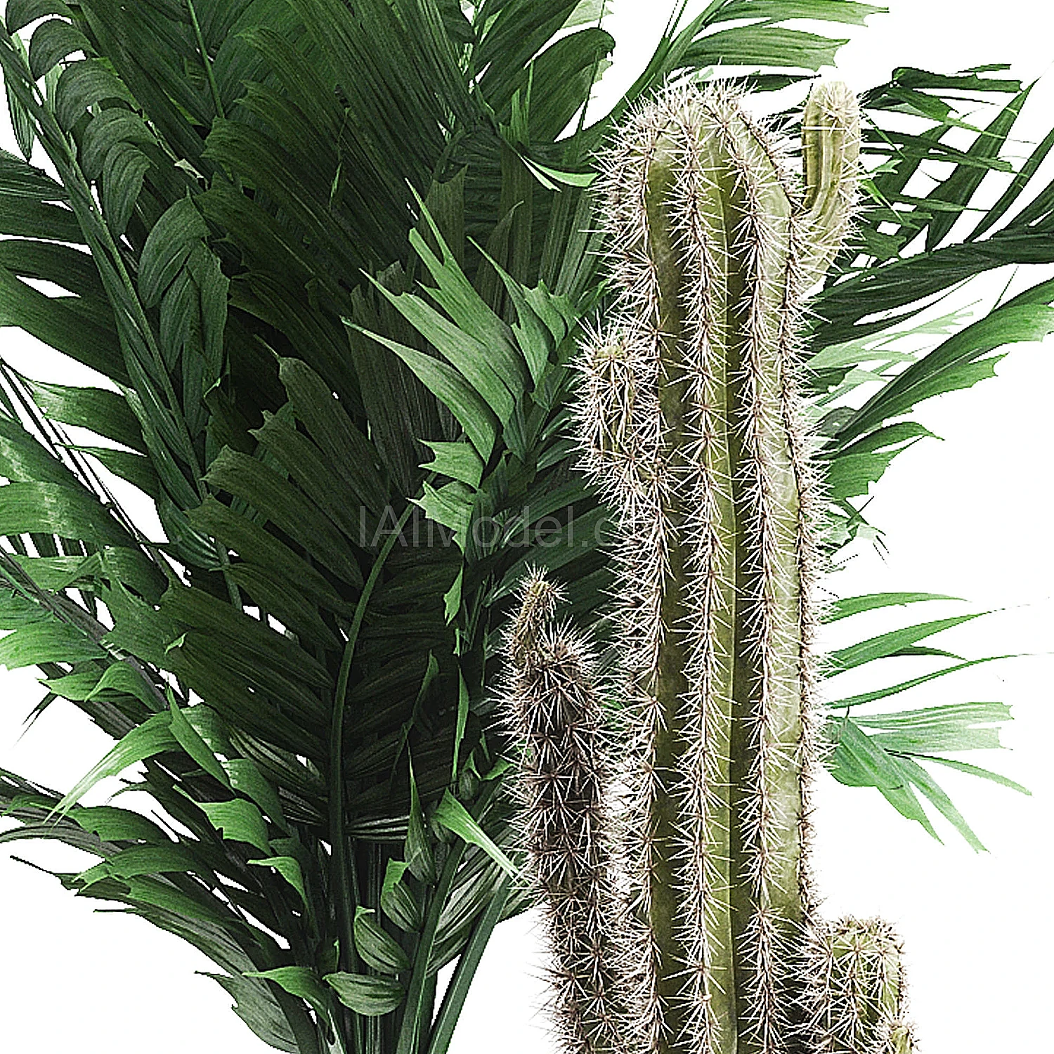 img2